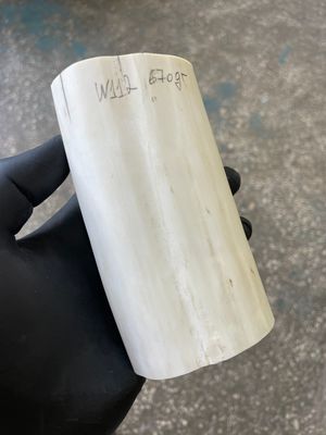 walrus tusk block for scrimshaw carving knife handle material W112