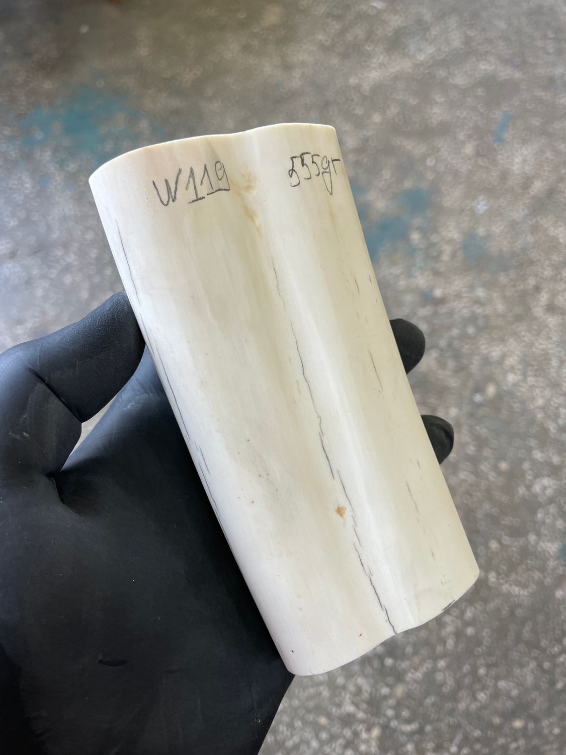 walrus tusk block for scrimshaw carving knife handle material W119