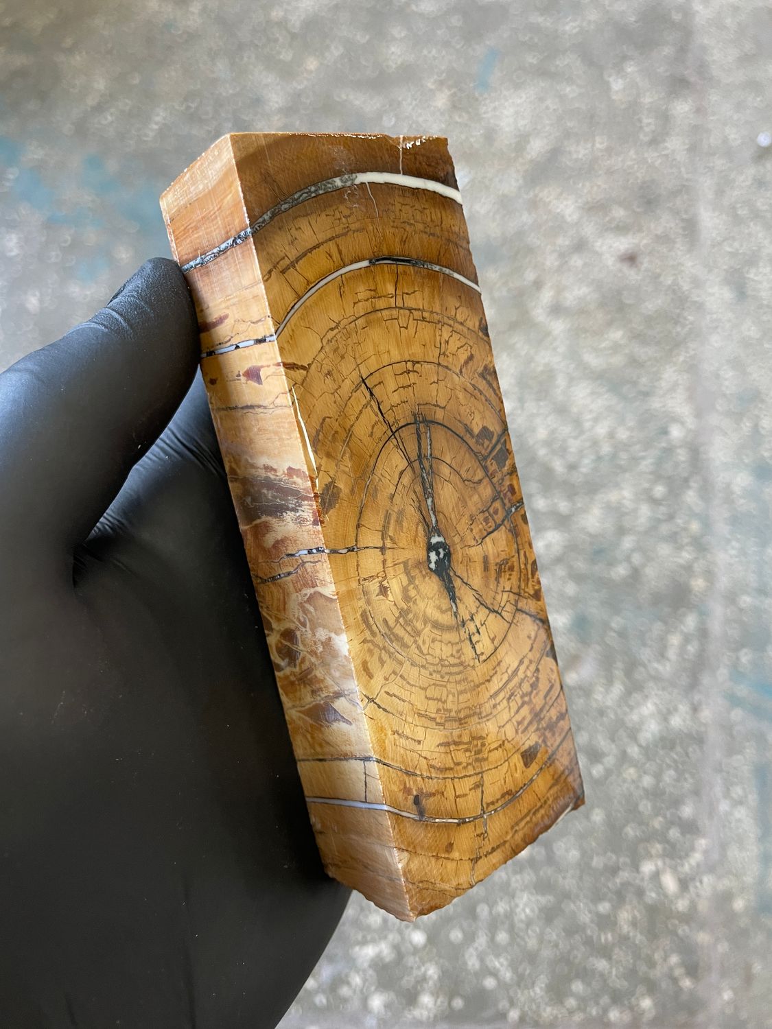stabilized mammoth tusk block fossil material for knifemaking custom handle TUB5