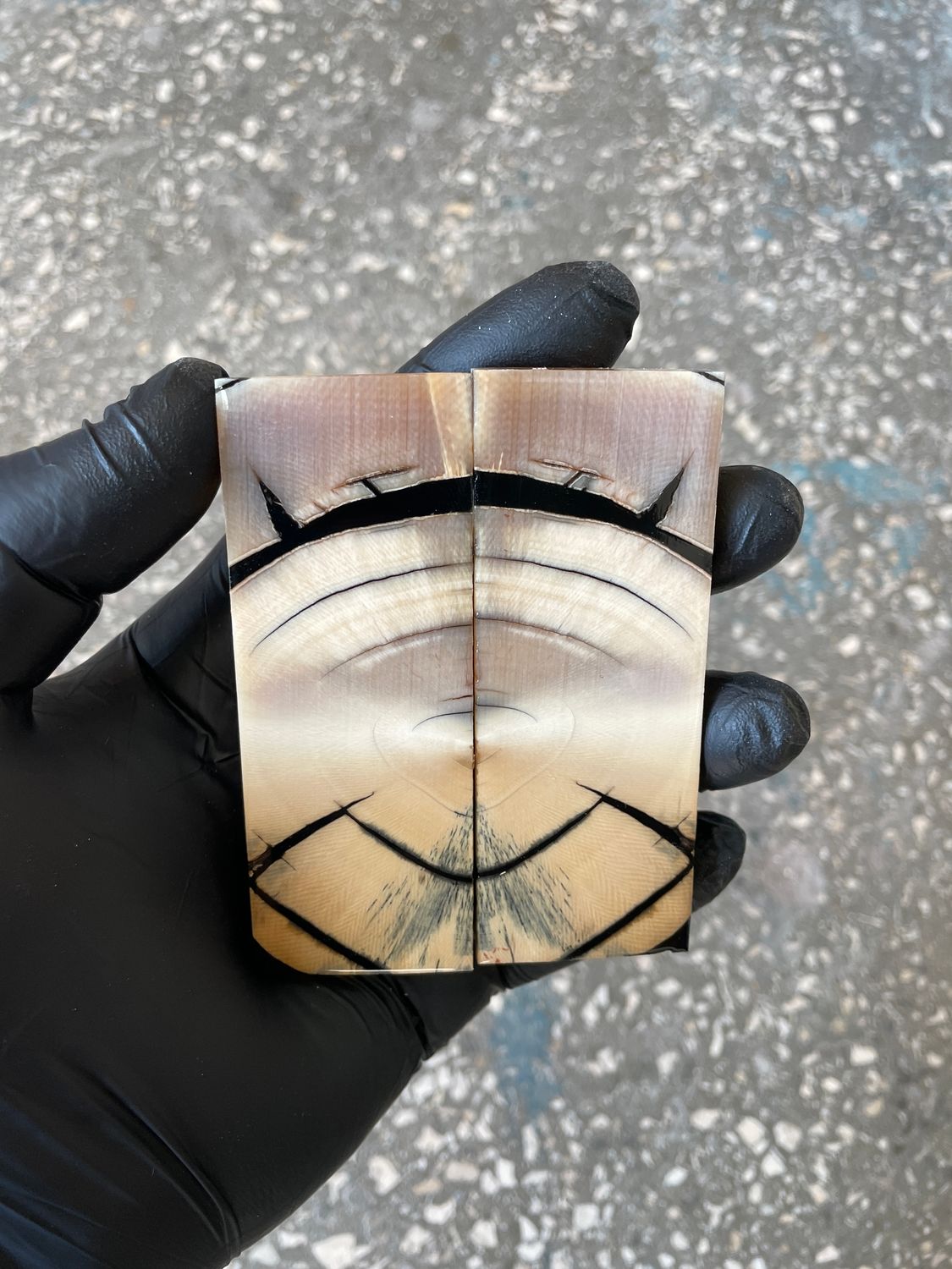 stabilized mammoth tusk knife scales pocket knife pair fossil material MTP22