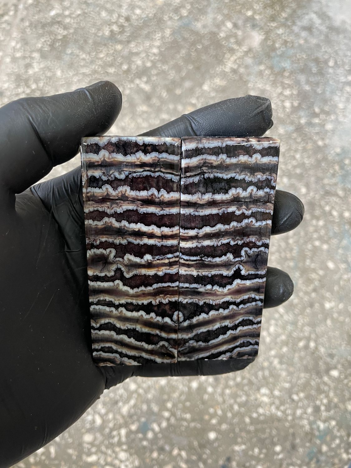 Stabilized mammoth tooth knife scales pair inch for pocket knife handle MTT43