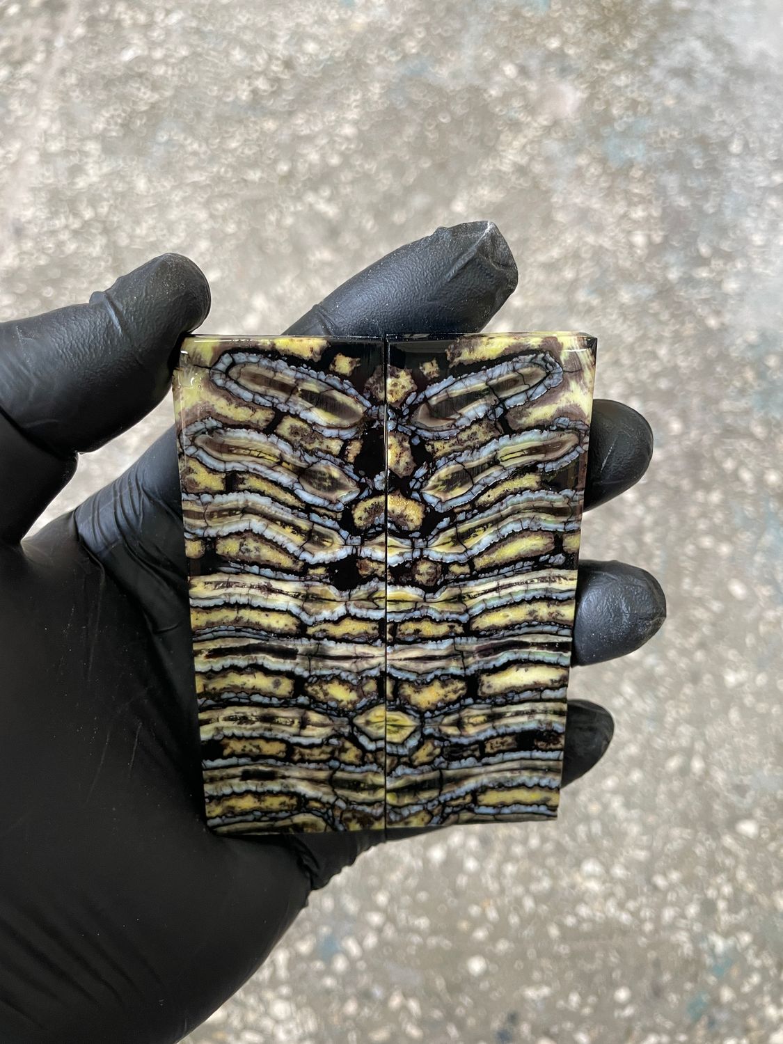 Stabilized mammoth tooth knife scales pair inch for pocket knife handle MTT49