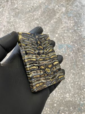 Woolly mammoth tooth scales close up natural pattern fossil knife material