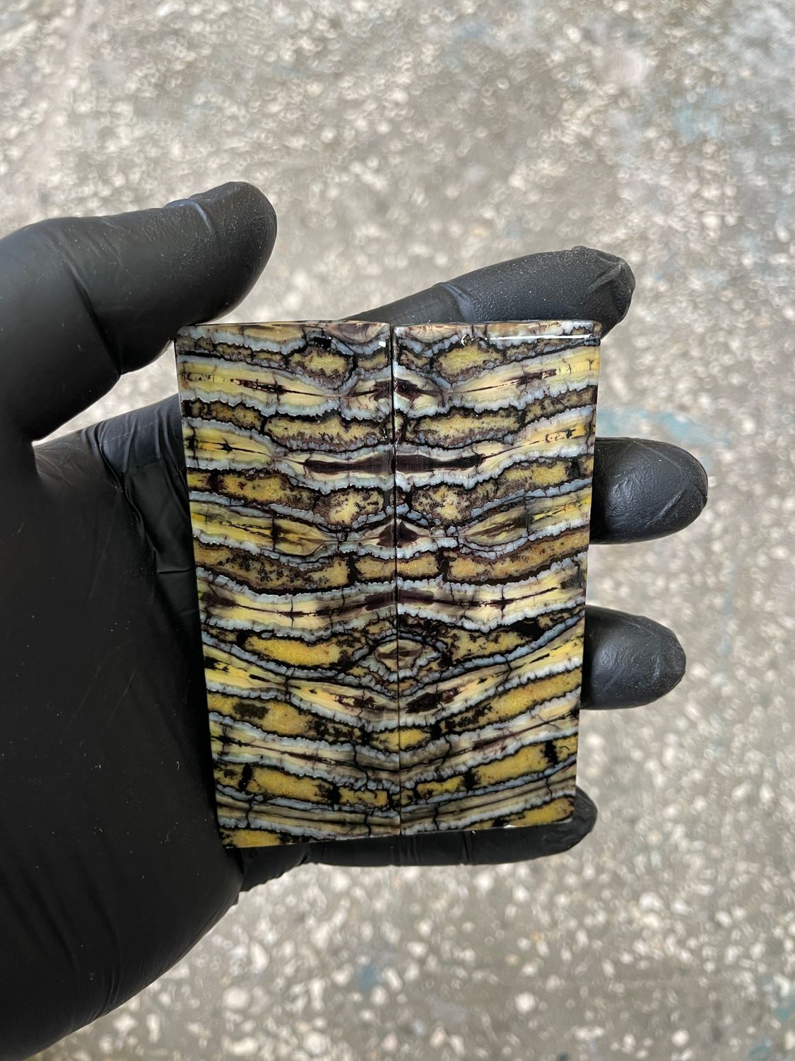 Stabilized mammoth tooth knife scales pair inch for pocket knife handle MTT44