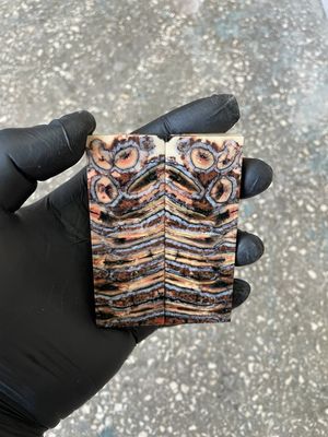 Stabilized mammoth tooth knife scales pair inch for pocket knife handle MTT23