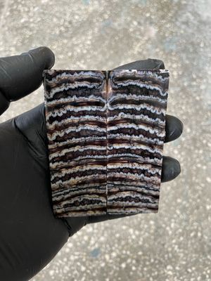 Stabilized mammoth tooth knife scales pair inch for pocket knife handle MTT40