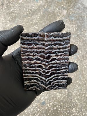 Stabilized mammoth tooth knife scales pair inch for pocket knife handle MTT