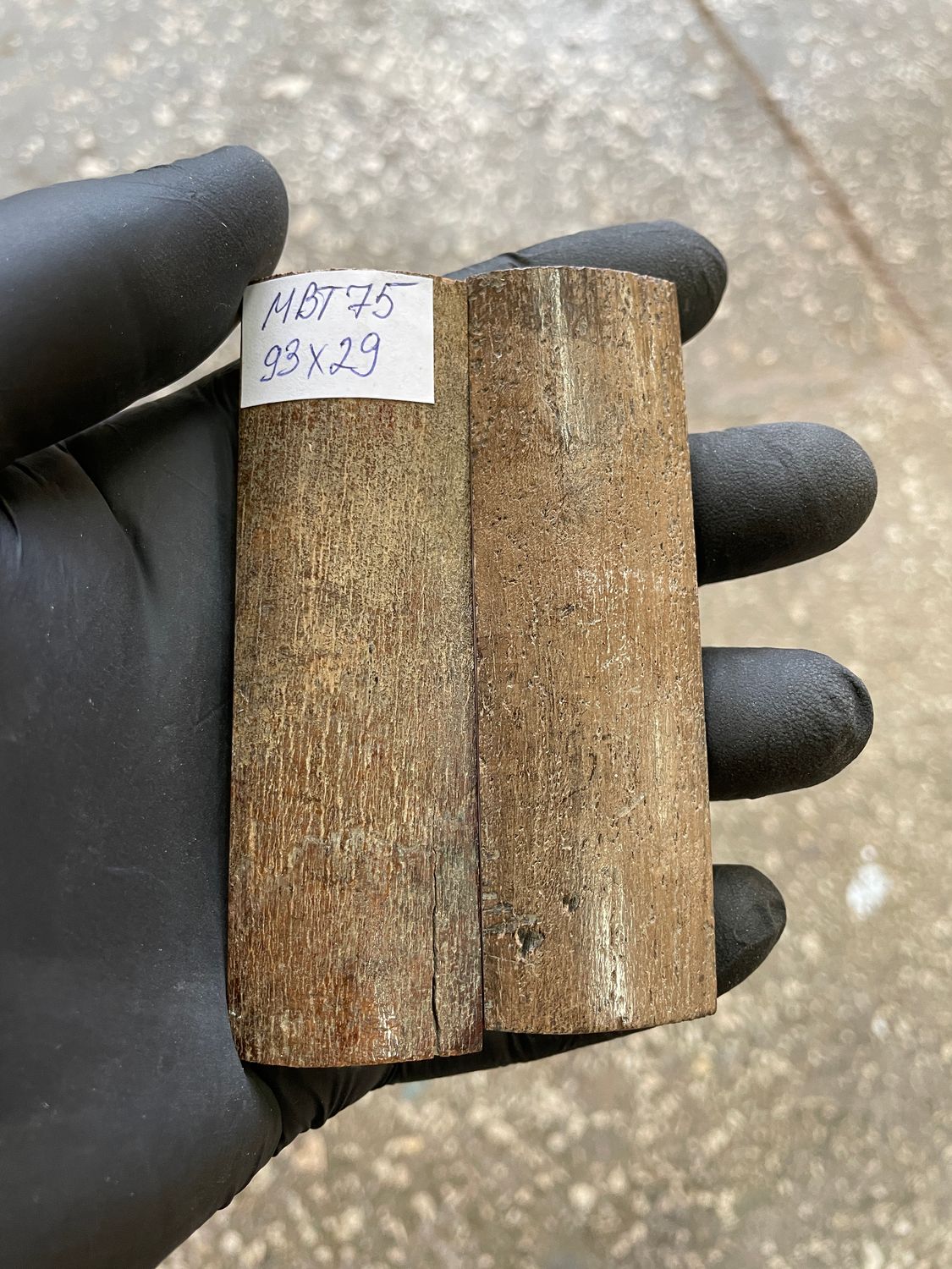 mammoth bark scales pair for knife handle MBT75