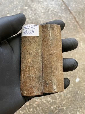 mammoth bark scales pair for knife handle MBT75