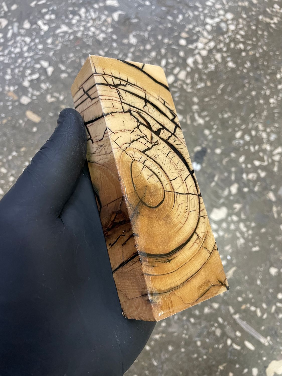 stabilized mammoth tusk block fossil material for knifemaking custom handle TUB17