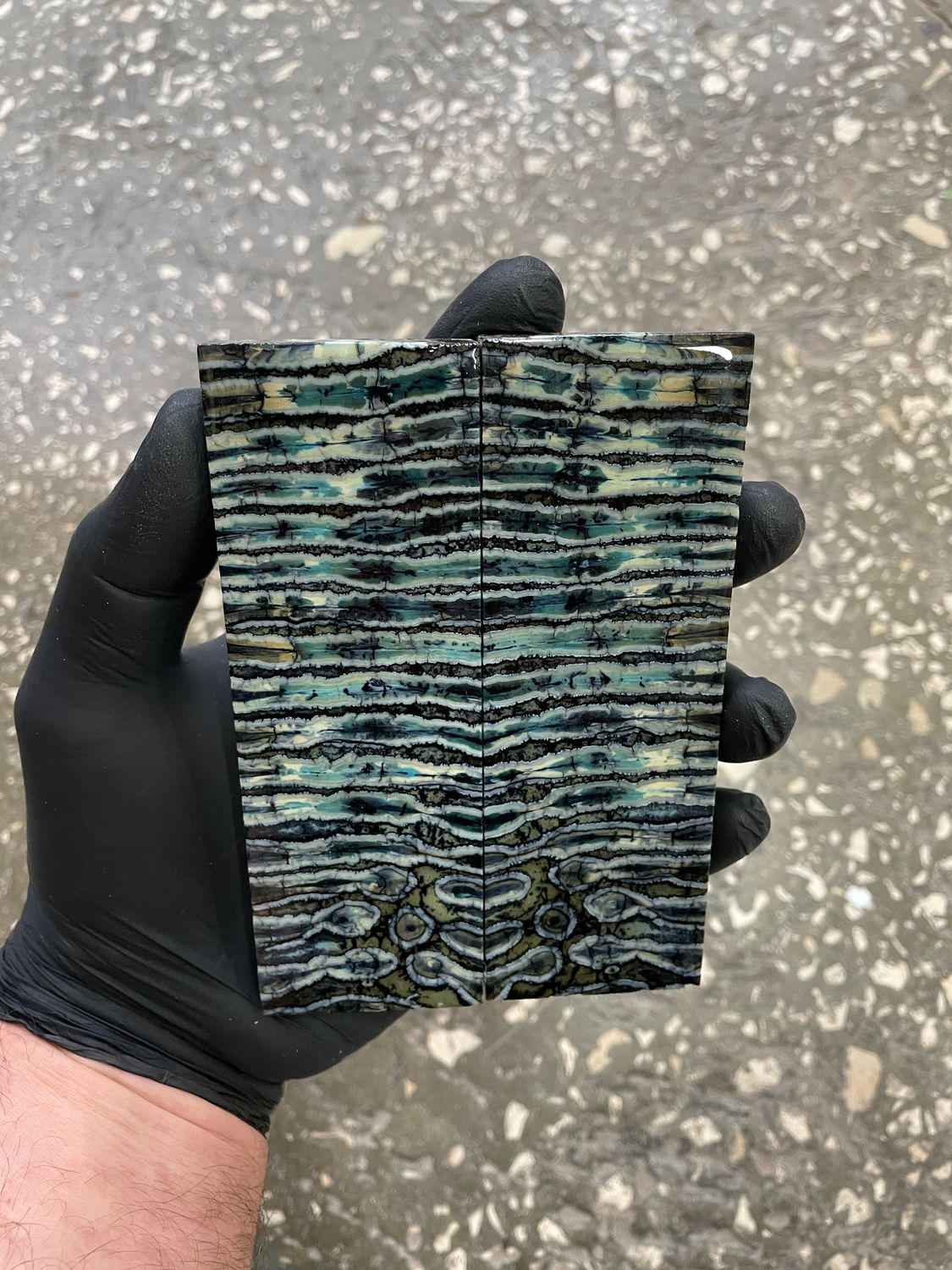 mammoth tooth stabilized knife handle scales pair TOS61