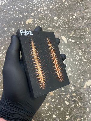 stabilized pinecone in resin knife scales unique pattern custom knifemaking material