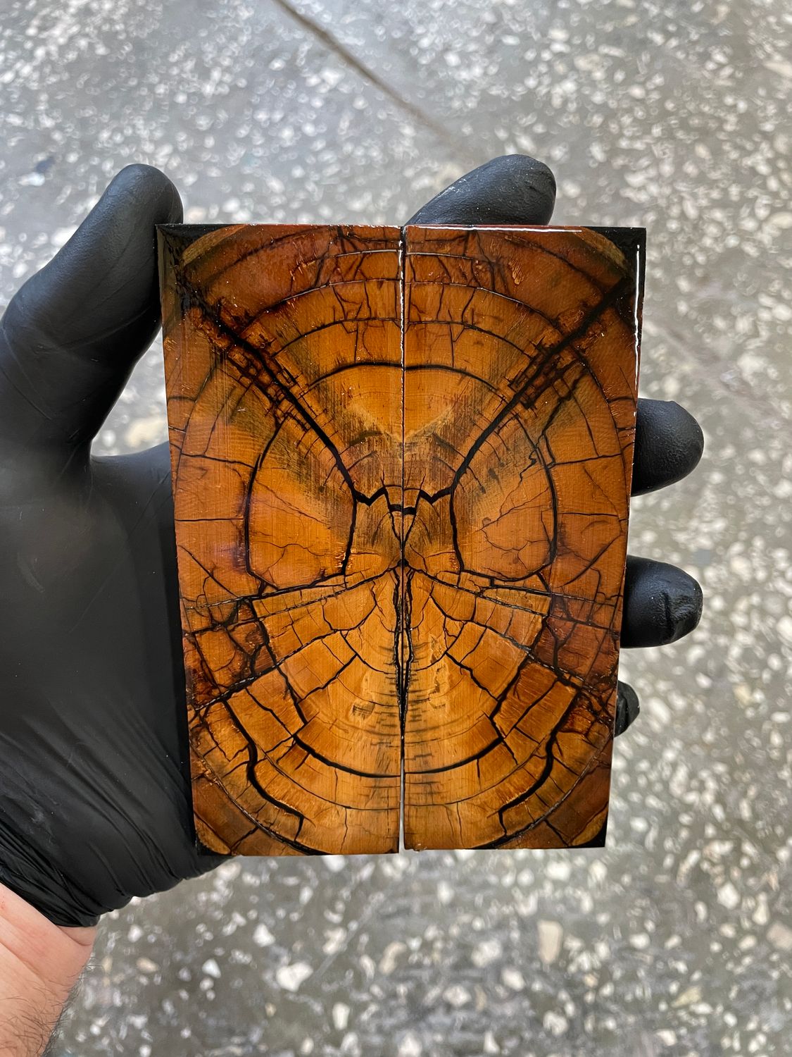 stabilized mammoth tusk knife scales pair fossil handle material MTS51