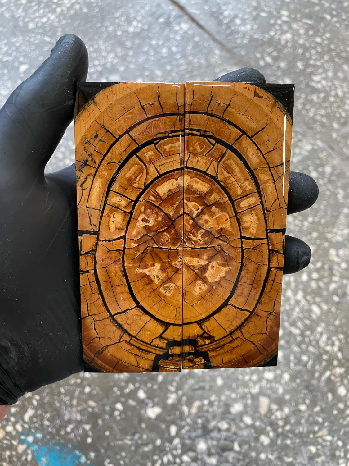 stabilized mammoth tusk knife scales pair fossil handle material MTS44