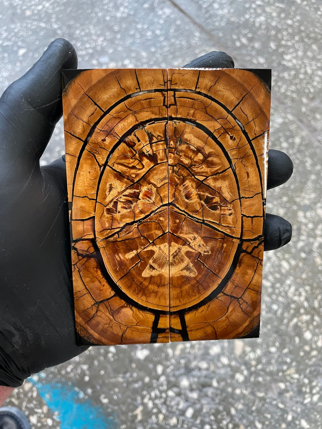 stabilized mammoth tusk knife scales pair fossil handle material MTS45