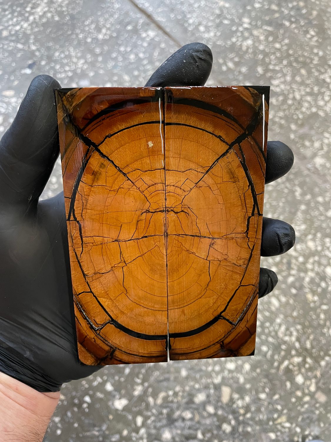 stabilized mammoth tusk knife scales pair fossil handle material MTS52