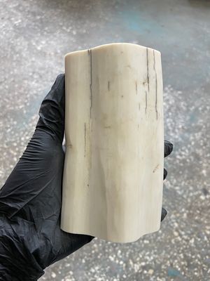 natural walrus tusk block knife handle material 