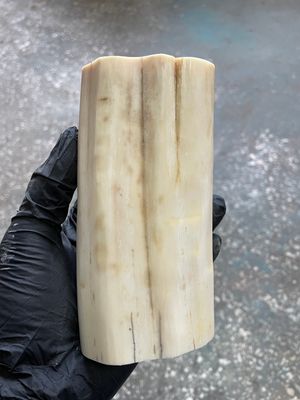 natural walrus tusk block knife handle material 