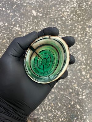 Mammoth tusk disk cross cut MTD29