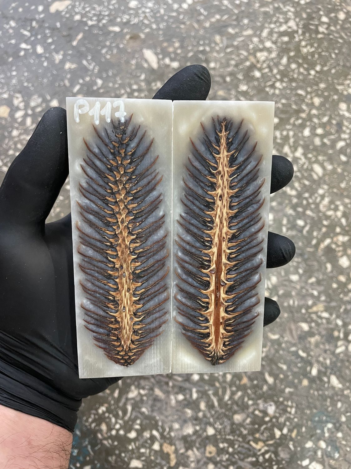 Pinecone in resin scales for knifehandle 5.19-1.73-0.43inch P117