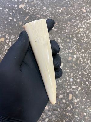Walrus tusk for scrimshaw knifehandle carving 0.23 lb W54