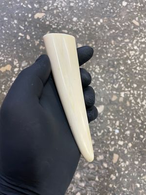 natural walrus tusk block knife handle material 