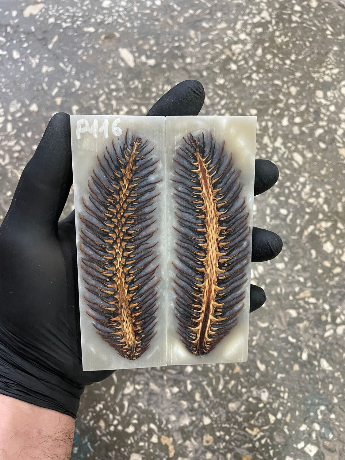 Pinecone in resin scales for knifehandle 5.19-1.73-0.43inch P116