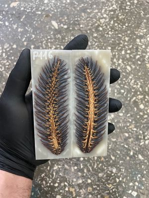 Pinecone in resin scales for knifehandle 5.19-1.73-0.43inch P116