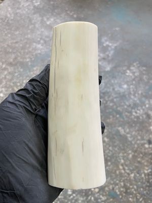 natural walrus tusk block knife handle material 