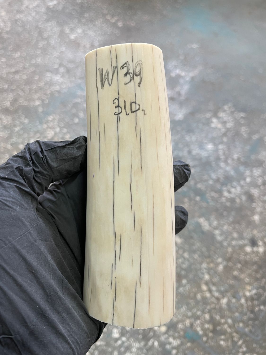 Walrus tusk for scrimshaw knifehandle carving 0.68 lb W39