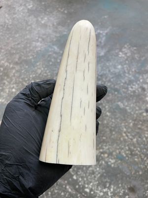 natural walrus tusk block knife handle material 