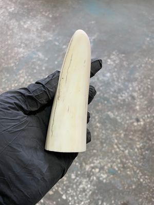 natural walrus tusk block knife handle material 