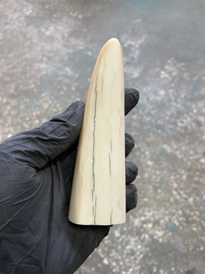 natural walrus tusk block knife handle material 