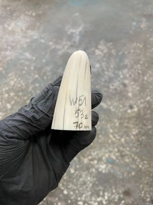 walrus tusk block for scrimshaw carving knife handle material W51