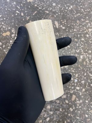 Walrus tusk for scrimshaw knifehandle carving 0.59 lb W53