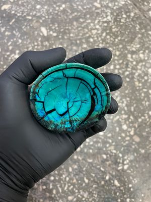 Mammoth tusk disk cross cut MTD28