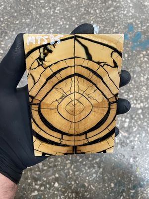 Mammoth tusk scales for knifehandle 5.19-1.85-0.47 inch MTS85