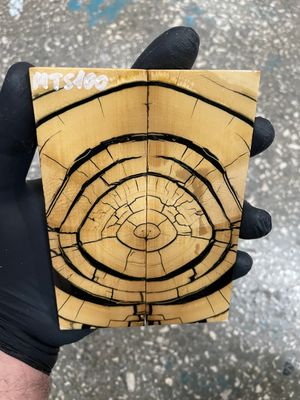 Mammoth tusk scales for knifehandle  5.19-1.85-0.43 inch MTS100