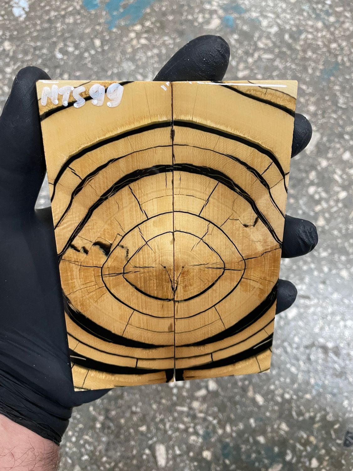 Mammoth tusk scales for knifehandle  5.19-1.85-0.43 inch MTS99