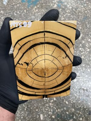 Mammoth tusk scales for knifehandle  5.19-1.85-0.43 inch MTS99