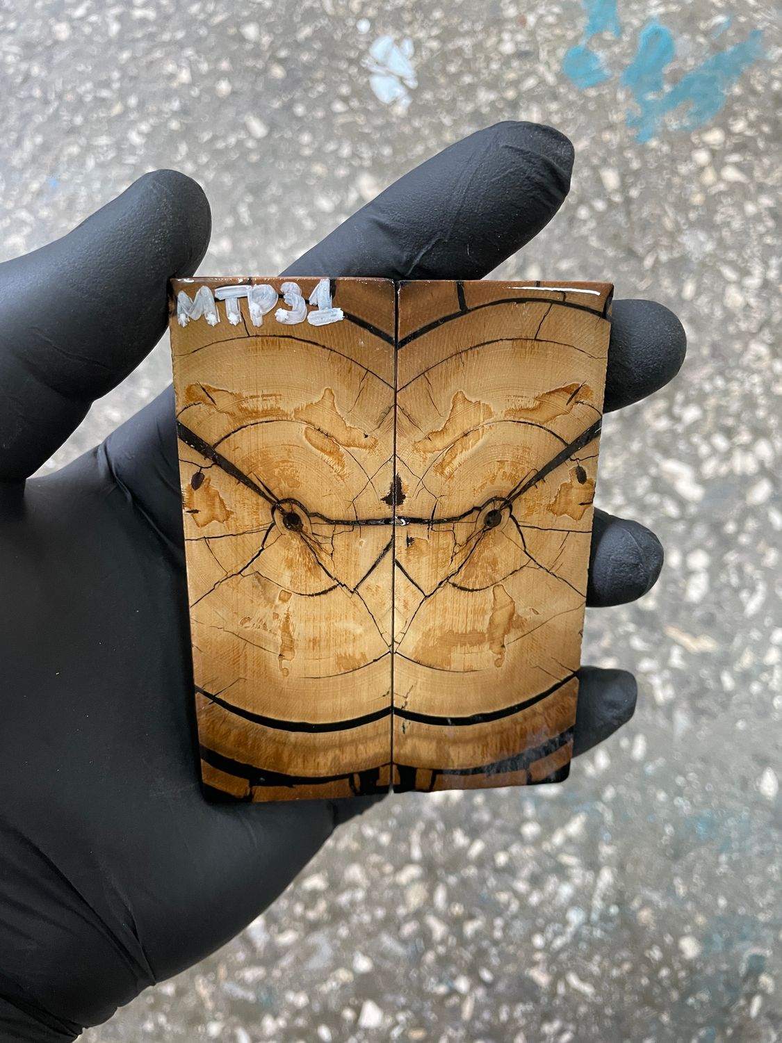 Mammoth tusk scales 3.54-1.18-0.27 inch MTP31