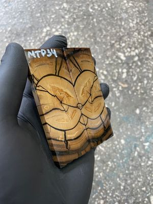 mammoth tusk scales for pocket knife handle stabilized ivory pair unique pattern
