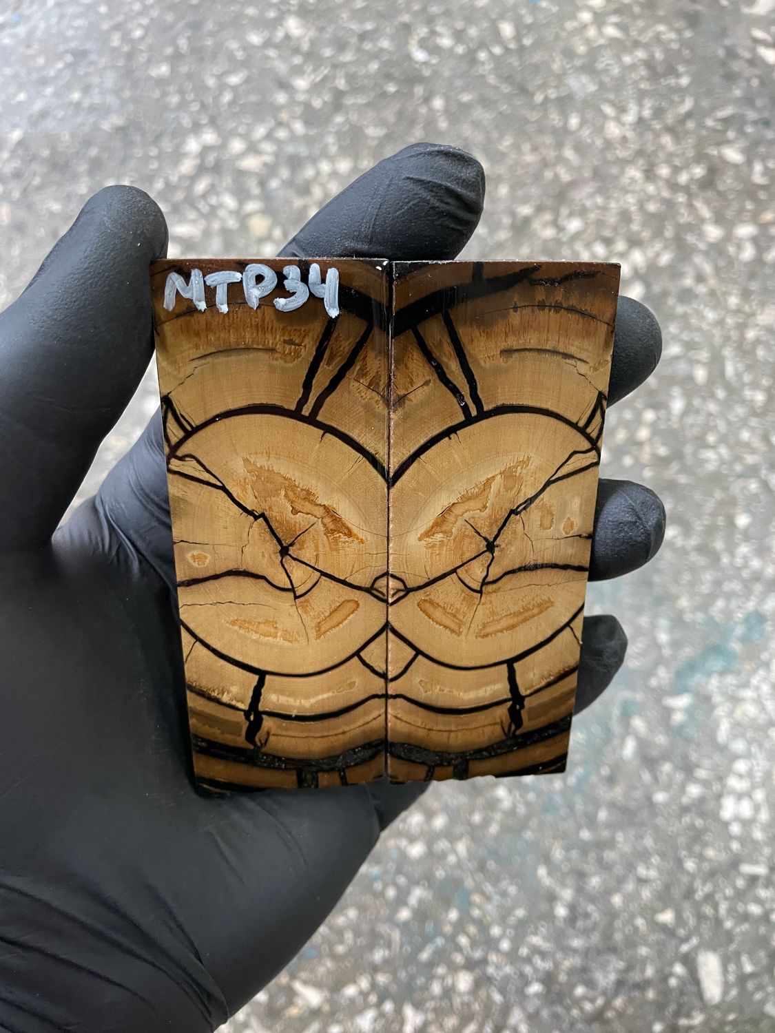 Mammoth tusk scales 3.54-1.18-0.27 inch MTP34