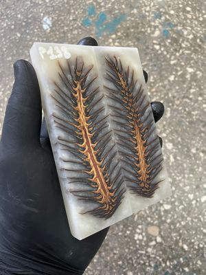 stabilized pinecone in resin knife scales unique pattern custom knifemaking material