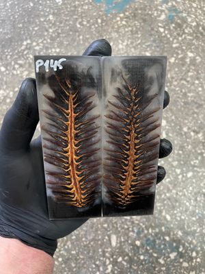 Pinecone in resin scales for knifehandle 5.19-1.73-0.43inch P145