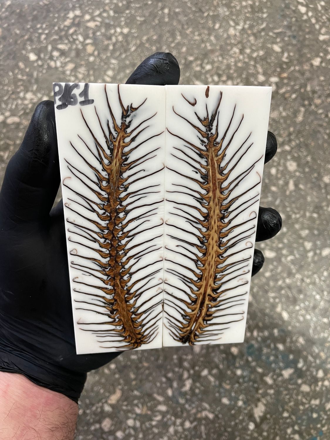 Pinecone in resin scales for knifehandle 5.19-1.73-0.43inch P161