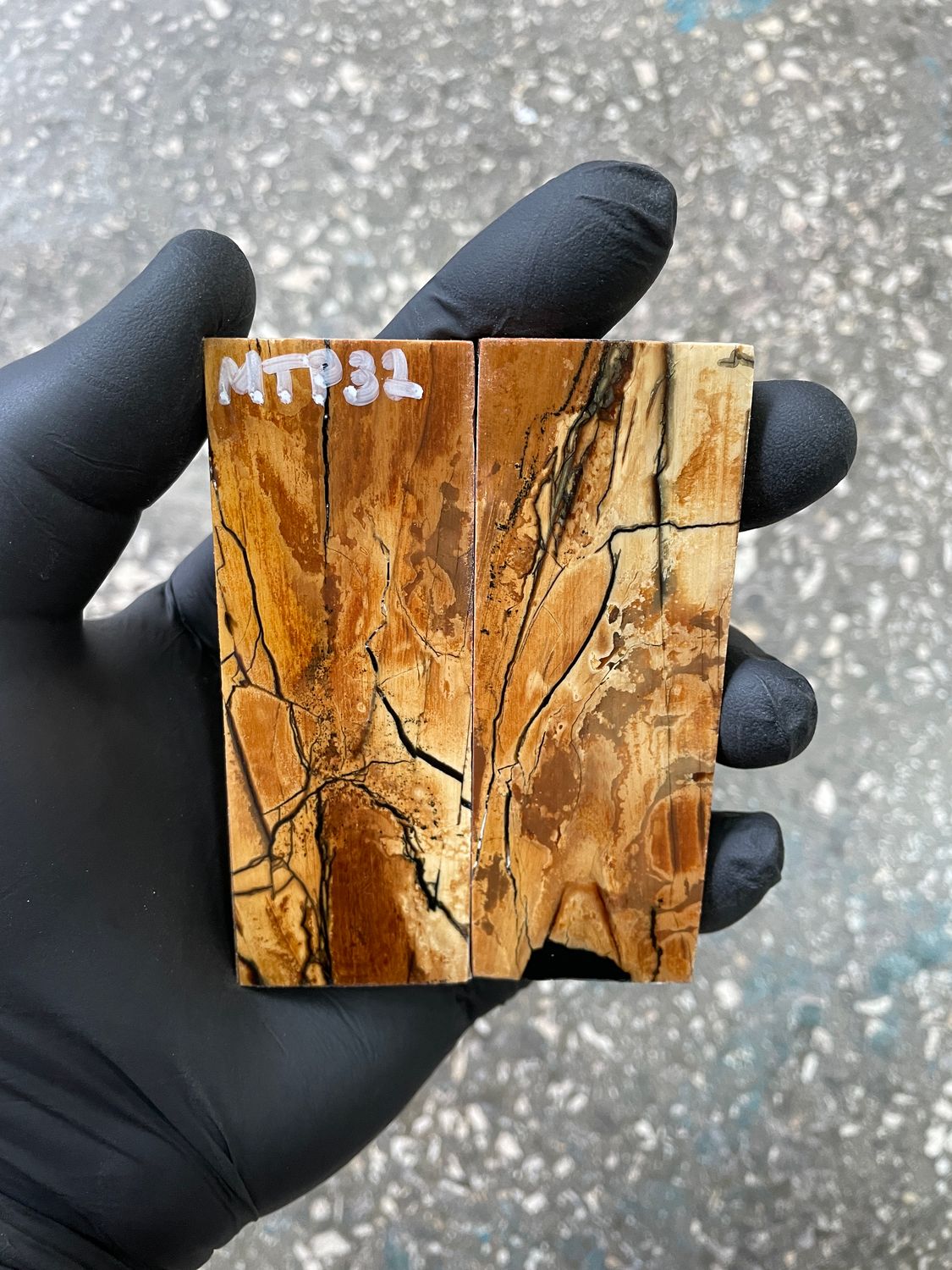 stabilized mammoth tusk knife scales pocket knife pair fossil material MTP32