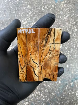 Mammoth tusk scales 3.54-1.18-0.27 inch MTP32