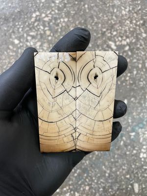 Mammoth tusk scales 3.54-1.18-0.27 inch MTP33