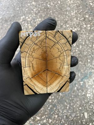 Mammoth tusk scales 3.54-1.18-0.27 inch MTP35